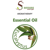 Eucalyptus Essential Oil-20ml