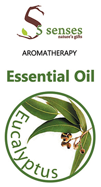 Eucalyptus Essential Oil-20ml