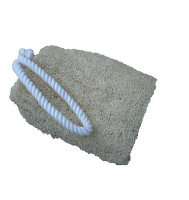 Sea Sponge-size 66