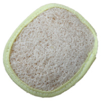 Loofah for Face
