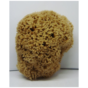 Extra Quality Sea Sponge-large