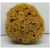 Extra Quality Sea Sponge-medium
