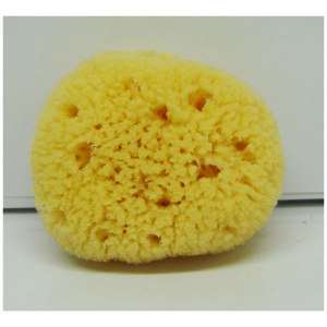 Sea Sponge for face (3 inch)