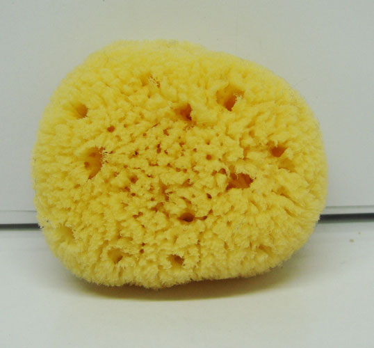 Sea Sponge for face (3 inch)