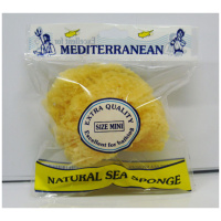 Mini Sea Sponge