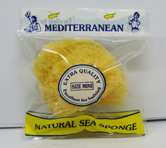 Mini Sea Sponge