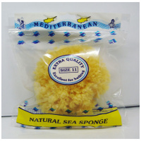 Sea Sponge-size 11