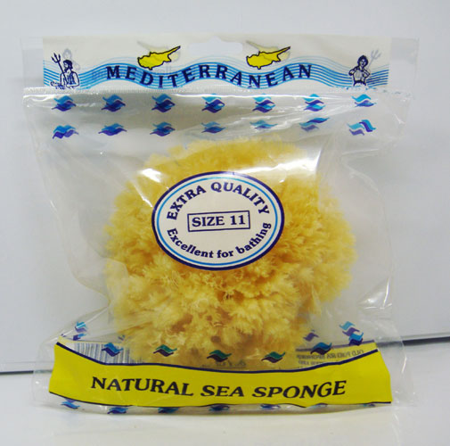 Sea Sponge-size 22