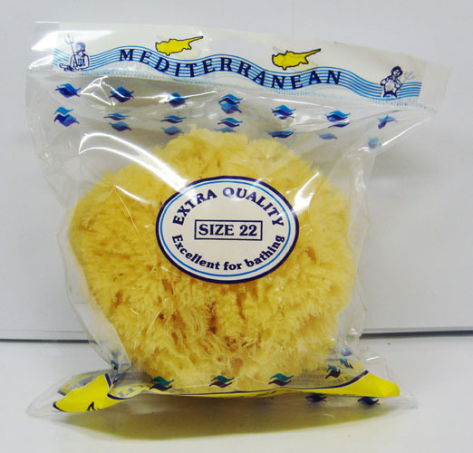 Sea Sponge-size 33