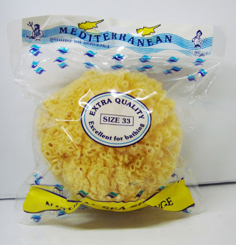 Sea Sponge-size 33