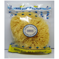 Sea Sponge-size 66