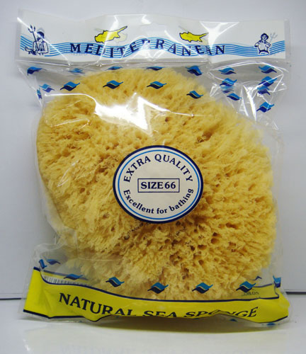 Sea Sponge-size 33